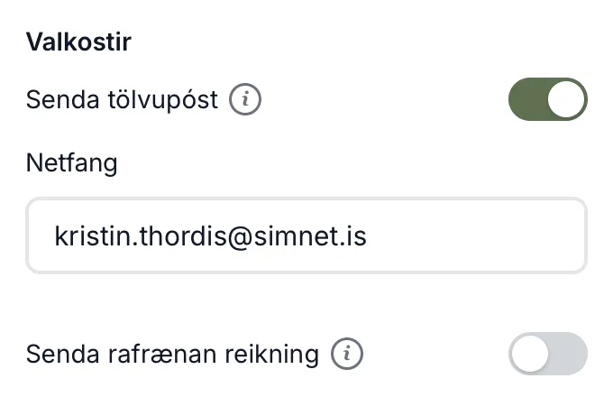 Valkostir á reikningsdrögum. Þegar kveikt er á Senda tölvupóst birtist reiturinn Netfang.